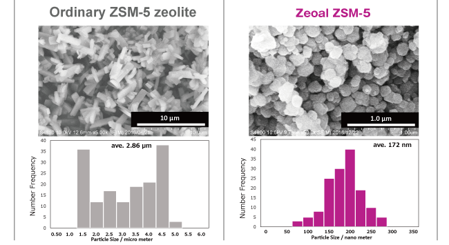 Particle size FE-SEM 
ZSM