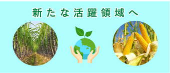 新たな活動領域へ