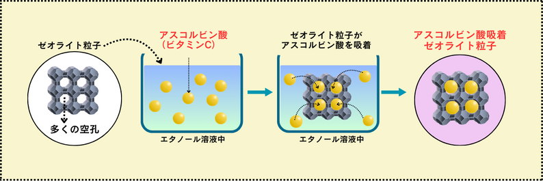 ゼオライトの多孔質構造を活かし、エタノール溶液中でアスコルビン酸を吸着させることで、アスコルビン酸を含有したゼオライトを生成