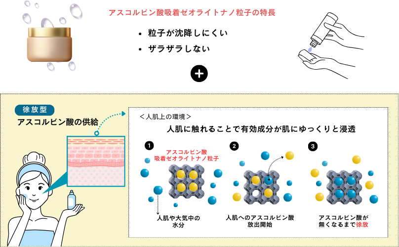 アスコルビン酸吸着ゼオライトの人肌に対する徐放のメカニズム