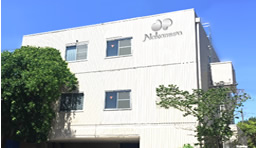 Flow Synthesis Lab