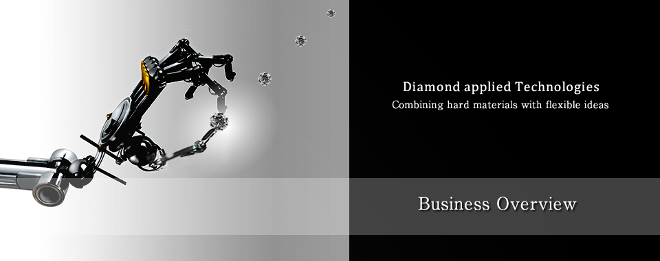 Business Overview 