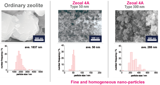 Particle size FE-SEM 